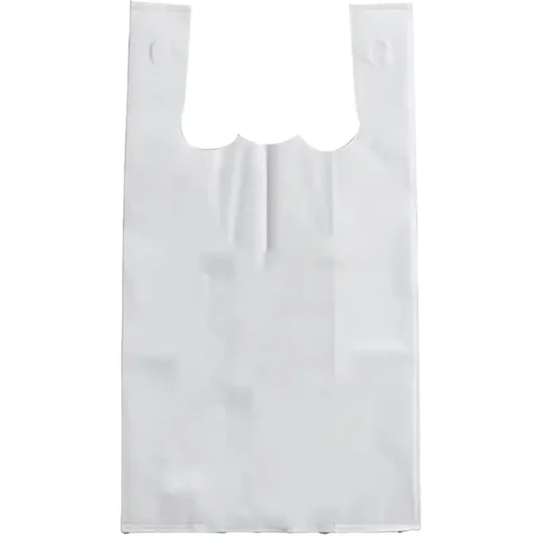 NON OVEN BAG 1/6 (100CT) - Image 2