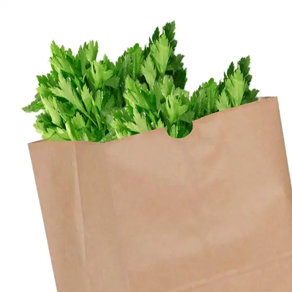 Brown Paper Barrel Sack - Image 3