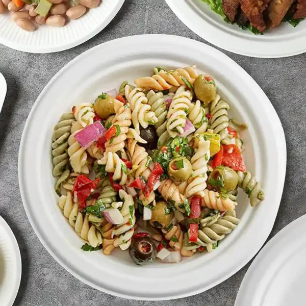 Eco Friendly No PFAS Added Bamboo Bagasse Blend 7” Plate – 1000/Case - Image 4