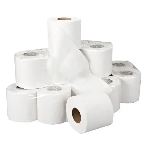 4”x 4” Individually-Wrapped 2-Ply 500 Sheet Toilet Paper Standard Roll – 95/Case